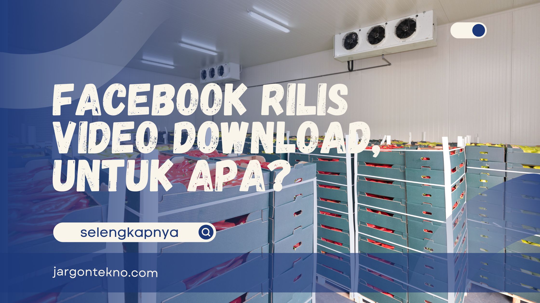 Facebook rilis video download